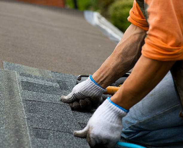 Best Roof Repair Services  in Cody, WY